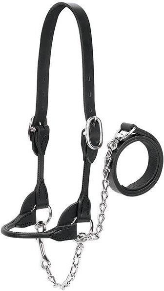 Weaver Livestock Showhalfter Milch-Rindvieh