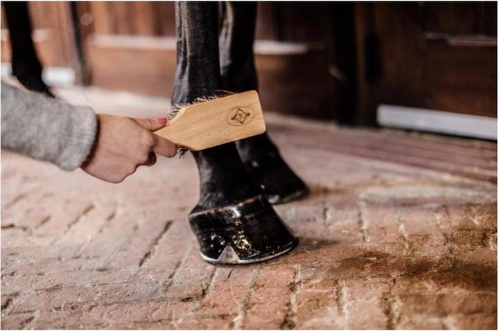 Produktbild Grooming Deluxe Hufbürste Hoof Brush