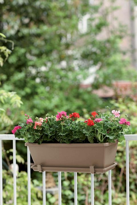 Immagine prodotto Elho Barcellona (20 cm)