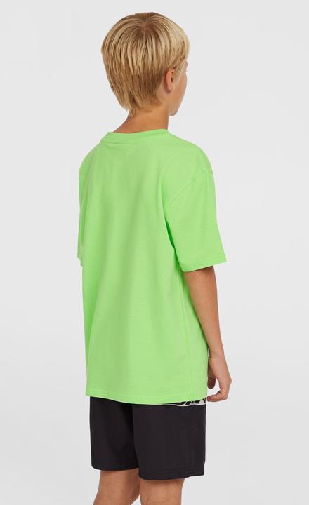 Actual product image O'Neill Cali Stripe 14" Swimshorts (116)