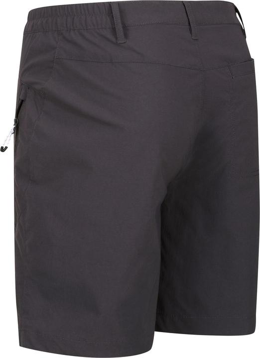 Actual product image Regatta Mens Highton Walking Shorts (44)