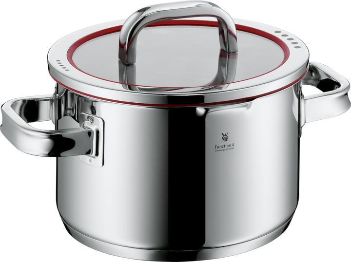 Pot à viande Fonction4 (24 cm, Casserole, Acier inoxydable)