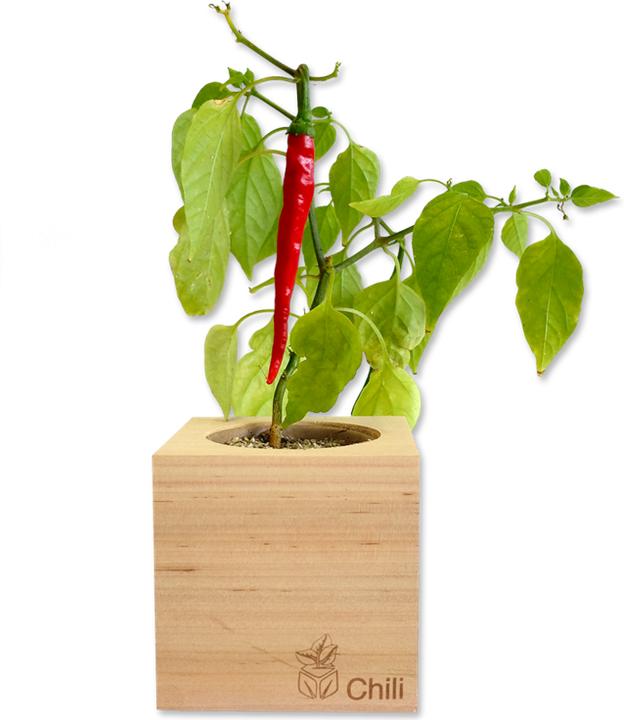 Image du produit Feel Green Ecocube (Graines de légumes)