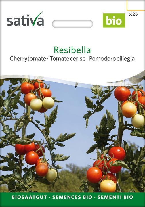 Actual product image Sativa Resibella – Cherrytomate Bio (Vegetable seeds)