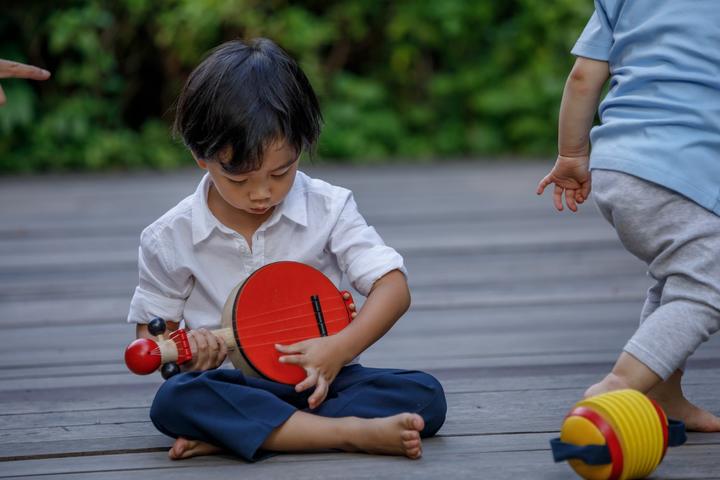 Produktbild Plantoys Banjo