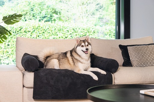 Productafbeelding Designed by Lotte Bankkussen Geribd (Hond)