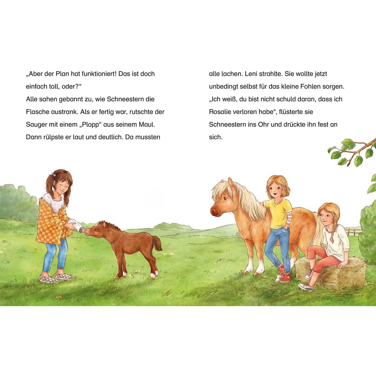 Thumbnail - Sheltie - Sheltie und das kleine Fohlen, Kinderbücher von Peter Clover, Nadine Reitz