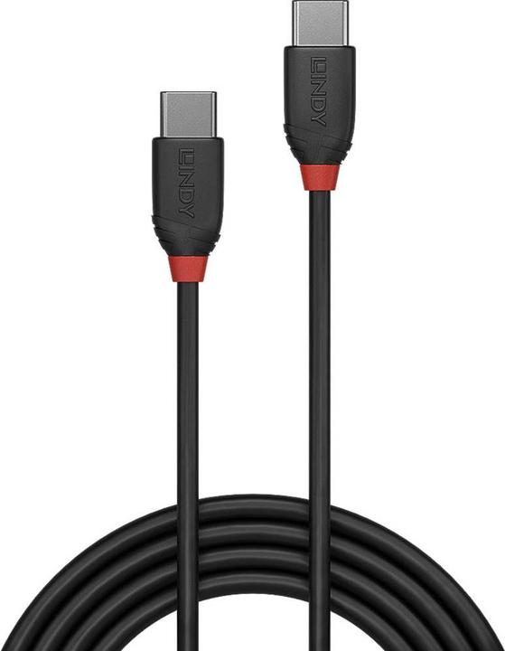 Actual product image Lindy black line (0.50 m, USB 3.1, 60 W)