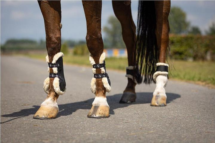 Produktbild BR Equestrian Equipment Pferde-Beinschutz (XL)
