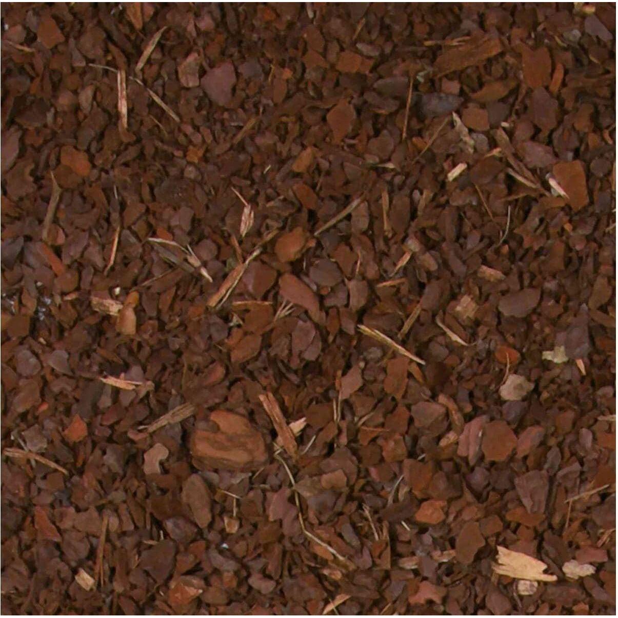 Thumbnail - Trixie Pinienrinde, Terrariumeinrichtung