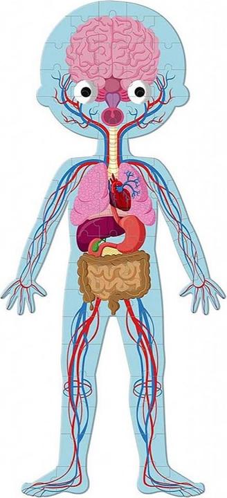 Productafbeelding Janod Het menselijk lichaam (100 onderdelen)