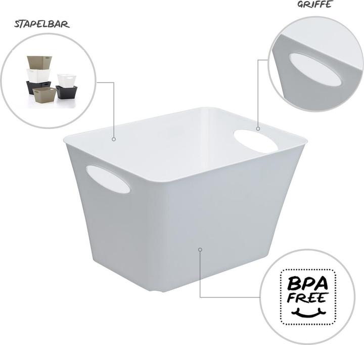 Actual product image Rotho Livingbox (32.10 cm, 24 l, 1x)