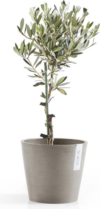 Image du produit Ecopots Amsterdam (20 cm)