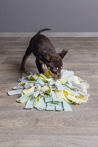 Actual product image Beeztees Sniffy (Puppy Toy)