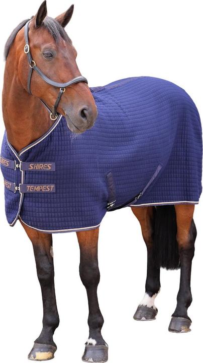 Produktbild Tempest Original Gesteppt Pferde Cooler Weidedecke
