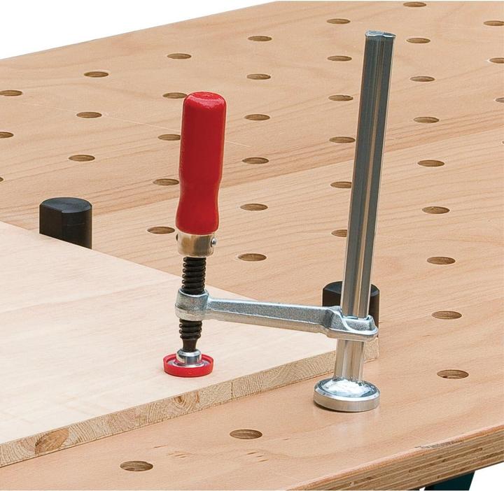 Actual product image Unicraft Clamp for hole pattern Ø 22mm (200 mm)