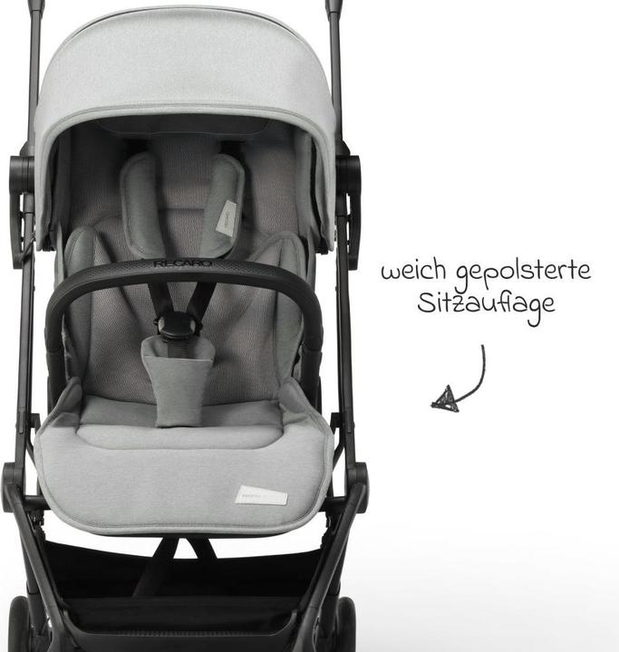 Actual product image RECARO Lexa Elite (6 Months - 4 years)