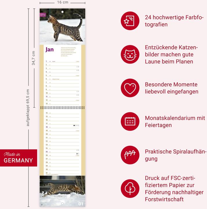 Produktbild Whiskas Katzenleben Kalender 2026 (Harter Einband, Deutsch)