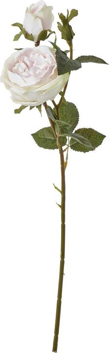 Immagine prodotto Hill Interiors The Natural Garden Collection Rosa Fiore Artificiale (58 cm)