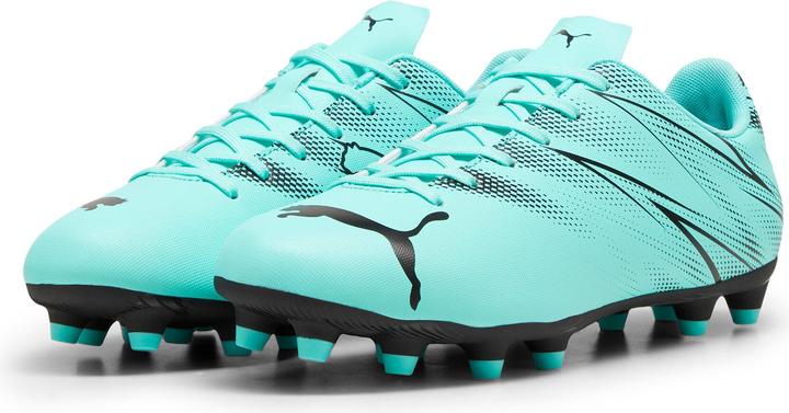 Actual product image Puma Attacanto FG/AG (43)