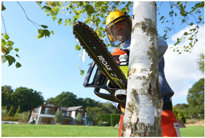 Actual product image Ryobi OCS1830 (Battery chain saw)