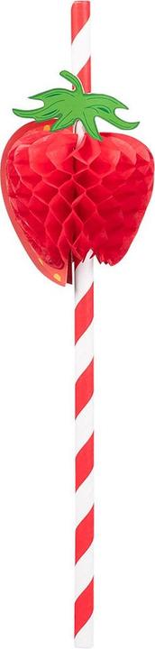 Actual product image Boland 6 paper straws fruit 2 assorted (20 cm) (6x)