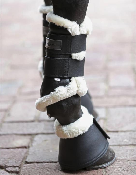 Productafbeelding Covalliero Holly
