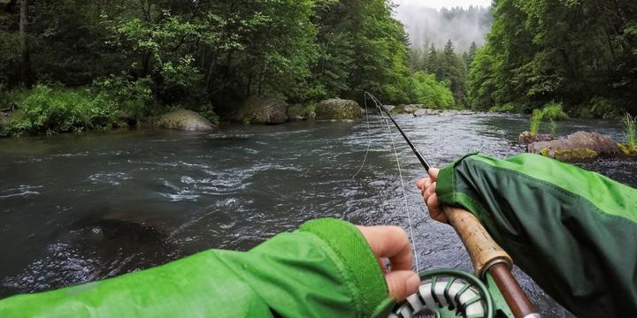 Image du produit GoPro Chesty (Héros 8, Héros 7, Universel, GoPro Hero 13, GoPro Max, Héros 9, Hero 12, Action Osmo)