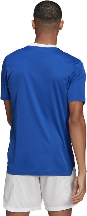 Produktbild Adidas Tiro 21 Trainingstrikot