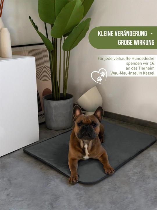 Actual product image Aspero Dog blanket Lund - 8613 (Dog)