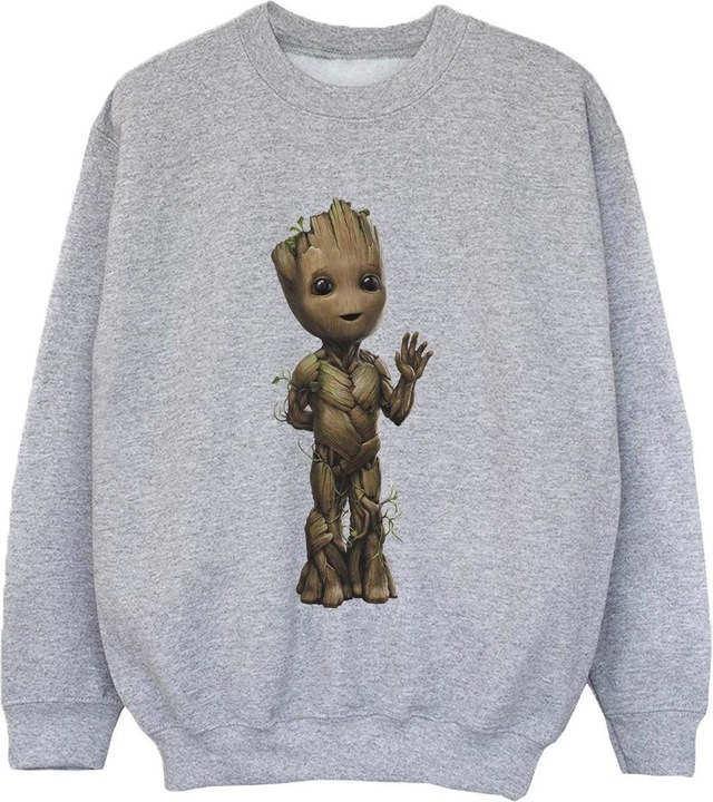 Produktbild I Am Groot Wave Pose Sweatshirt Jungen (152, 158)