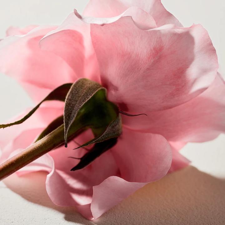 Produktbild Chloé Shower Gel (200 ml)