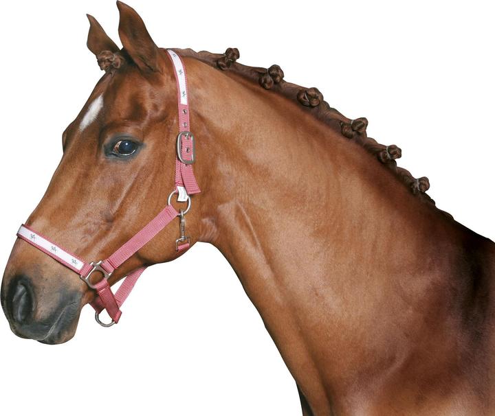 Produktbild Kerbl Mähnengummi