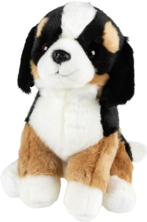 Image du produit NICI Bouvier 25cm (25 cm)