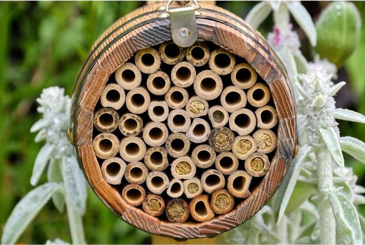Actual product image Wildlife World Wild bee hotel Beehive 13 x 13 x 18 cm (Wild bees)