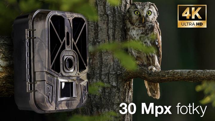 Actual product image Evolveo Ptero SGVCAMWIFI security camera Box IP security camera Outdoor pixels Ceiling/wall (3840 x 2160 pixels)