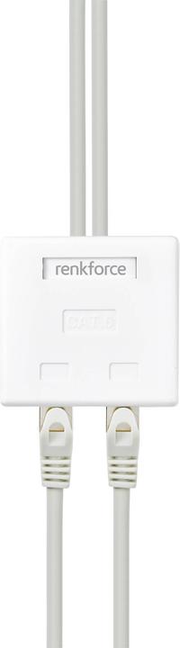 Actual product image Renkforce STP CAT6 surface box, two connections (CAT6)