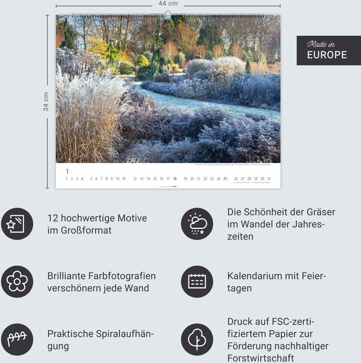 Produktbild Gräser Kalender 2026 (44 x 34 cm)