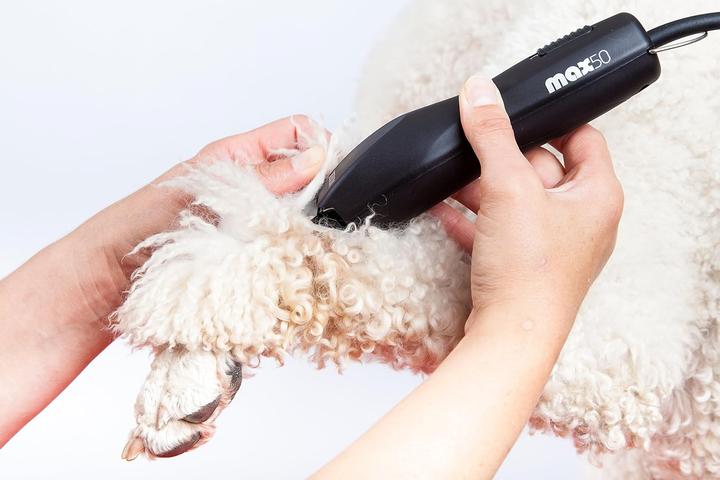 Produktbild Moser Max 50 (Hund, Katze)