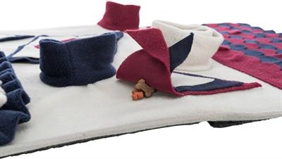 Immagine prodotto Trixie Cane attività strategia gioco annusando tappeto (Intelligenza cane toy)