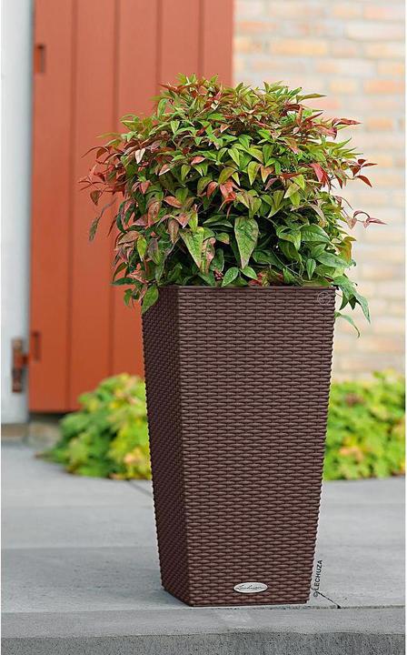 Immagine prodotto Lechuza Cubico Cottage (29.50 cm)