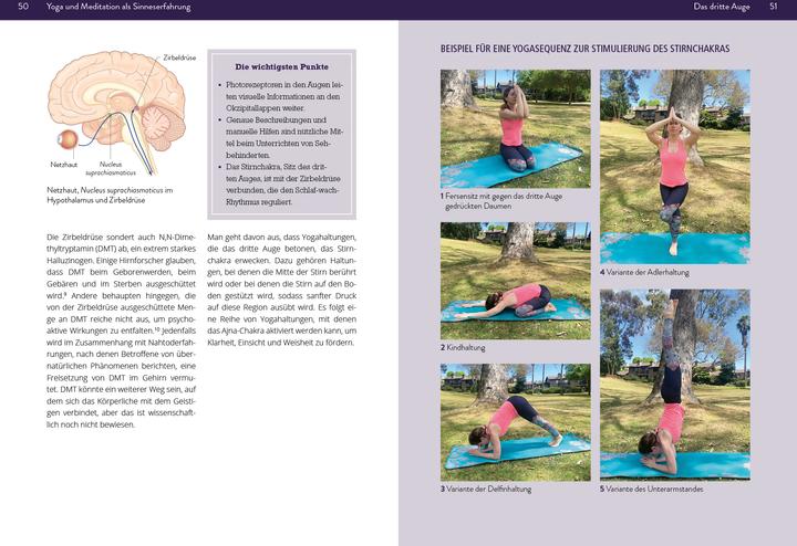 Produktbild Fair:Die Neurowissenschaft hinter Yoga (Deutsch, Brittany Fair, 2024)