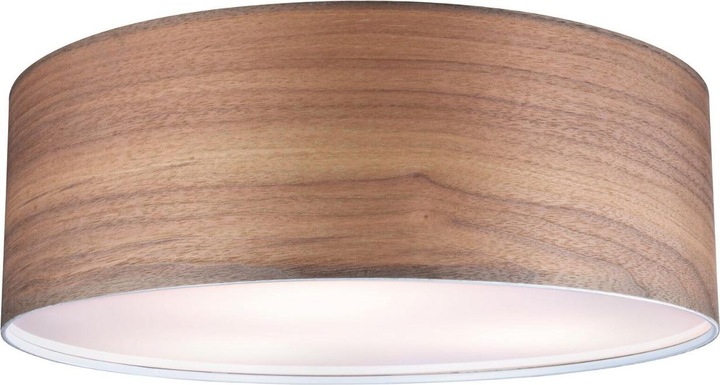 Actual product image Paulmann Neordic Liska (E27)