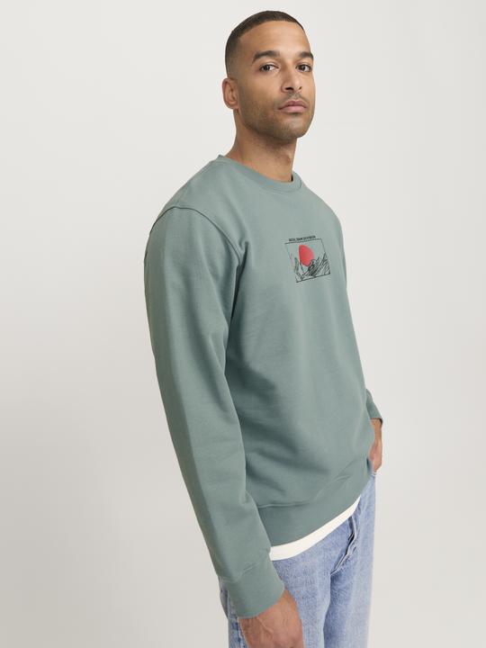 Actual product image Jack & Jones Rddadam Sweat Crew Neck Sn (M)