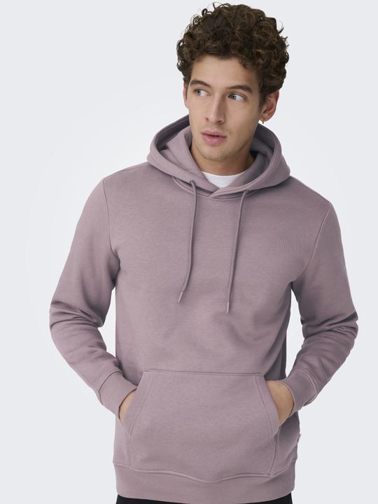 Produktbild Only & Sons Onsconnor Life Reg Sweat Hoodie Noos (M)