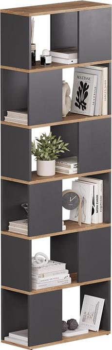 Actual product image Vicco Raumteiler Eneos, Anthrazit/Goldkraft Eiche, 60 x 186 cm