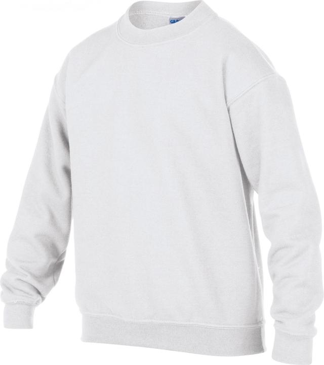 Image du produit Gildan Heavy Blend ® (12XL)
