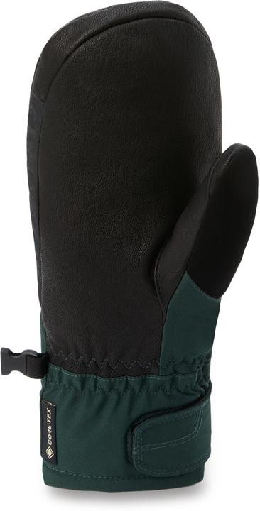 Image du produit Dakine Womens Fleetwood Gore-Tex Short Mitts (M)