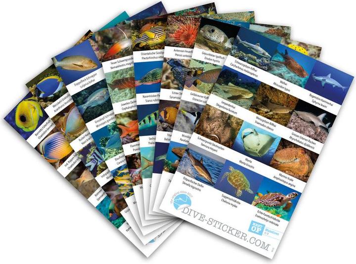 Dive Sticker Sticker-Set Malediven by (DE)