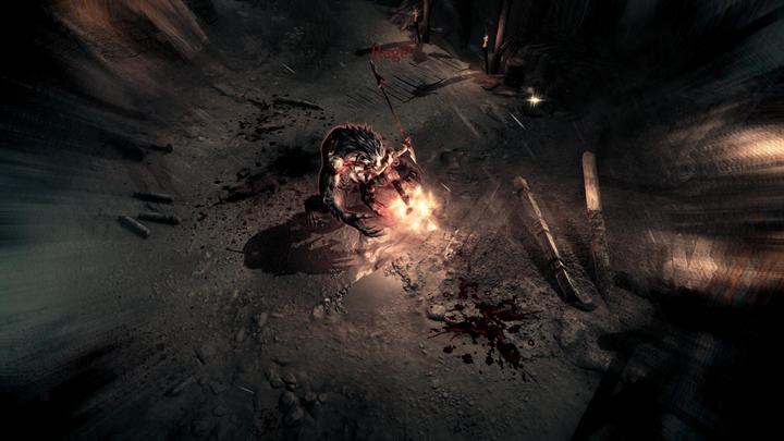 Actual product image Vikings: Wolves of Midgard (Special Edition) (Import) (PS4, DE)